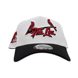 White St. Louis Cardinals Black Curved Brim Gray Bottom 1982 World Series Side Patch New Era A-Frame 9Forty Snapback