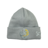 Gray Houston Astros "Stros" 35th Great Year Side Patch New Era Knit Beanies