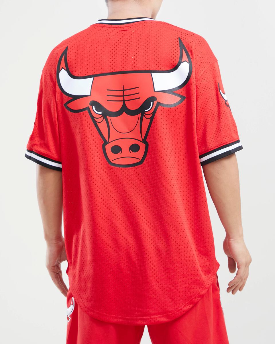 Exclusive Fitted Pro Standard V-Neck Chicago Bulls White Mesh Jersey S