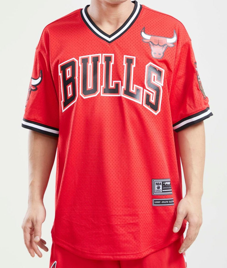 Pro Standard Chicago Bulls Logo Pro Team Mesh Shorts Red