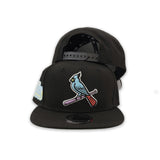 Black St. Louis Cardinals Gray Bottom 2011 World Series Side Patch Color Pack New Era 9Fifty Snapback