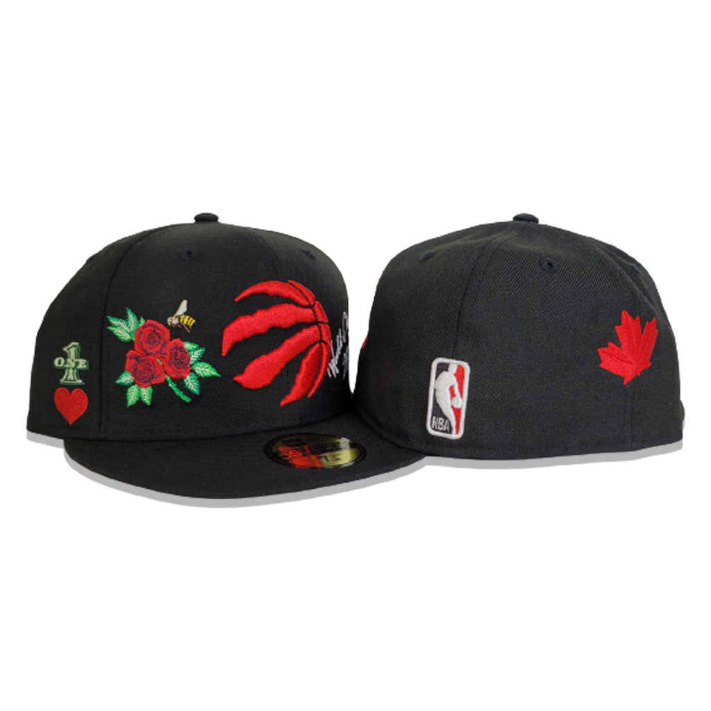 Toronto Raptors Logo Hat and Mask