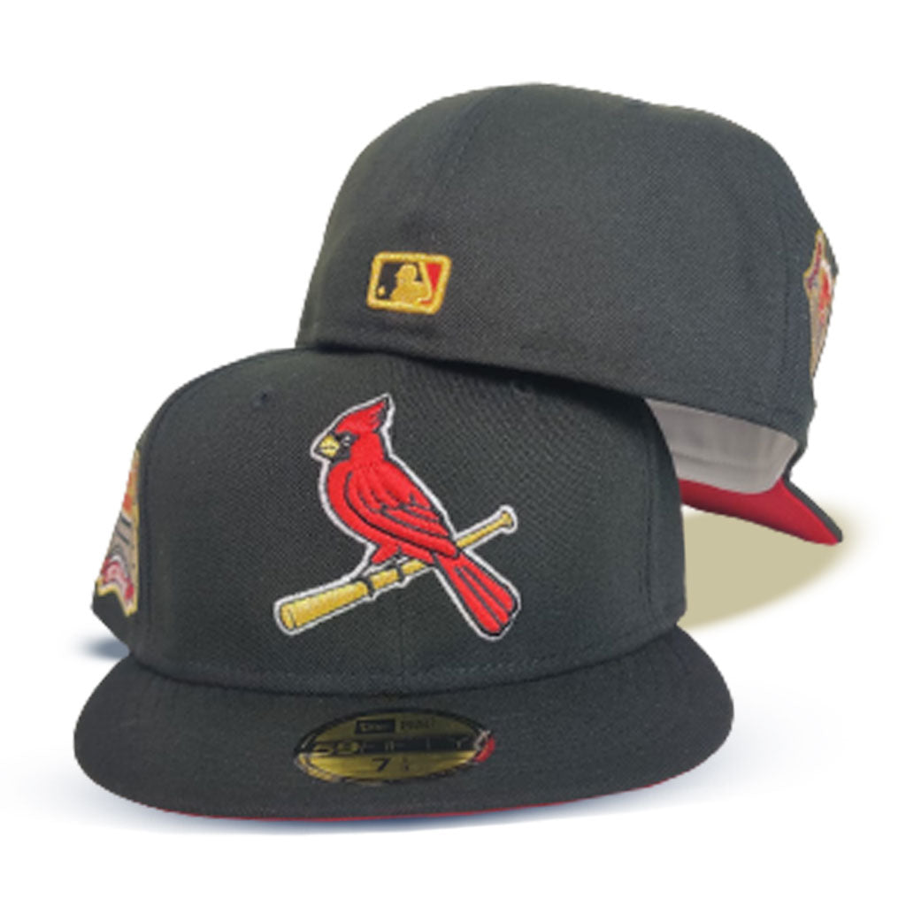 Sky Blue St. Louis Cardinals Busch Stadium Final Season Fitted Hat