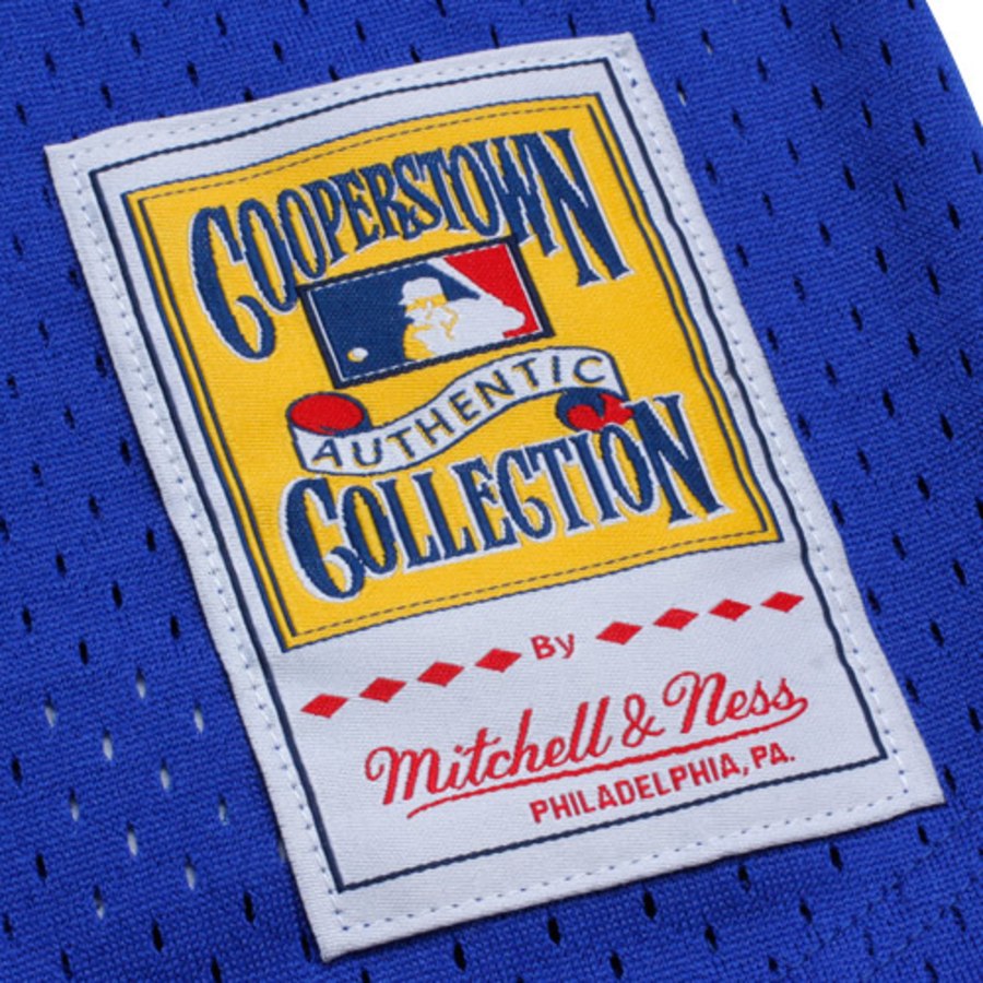 Joe Carter Toronto Blue Jays Mitchell & Ness 1993 Authentic Cooperstown  Collection Mesh Batting Practice Jersey - Royal