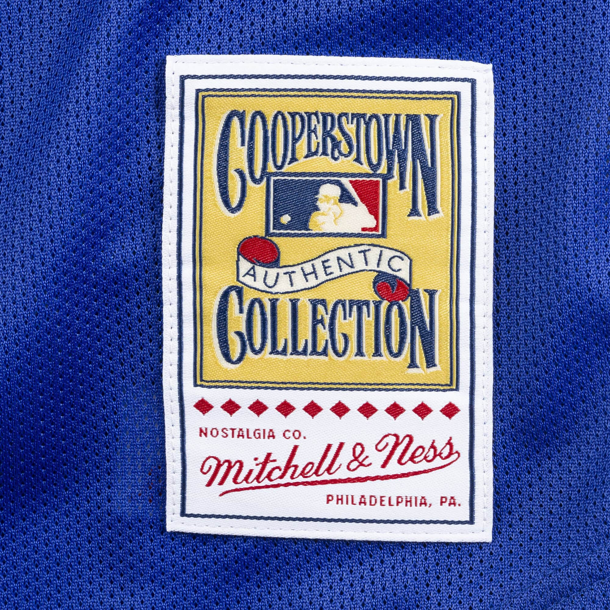 Mike Piazza Los Angeles Dodgers Mitchell & Ness Youth Cooperstown Collection Mesh Batting Practice Jersey - Royal