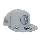 Oakland Raiders Grey Reflective XVIII Super Bowl New Era 9Fifty Snapback Hat
