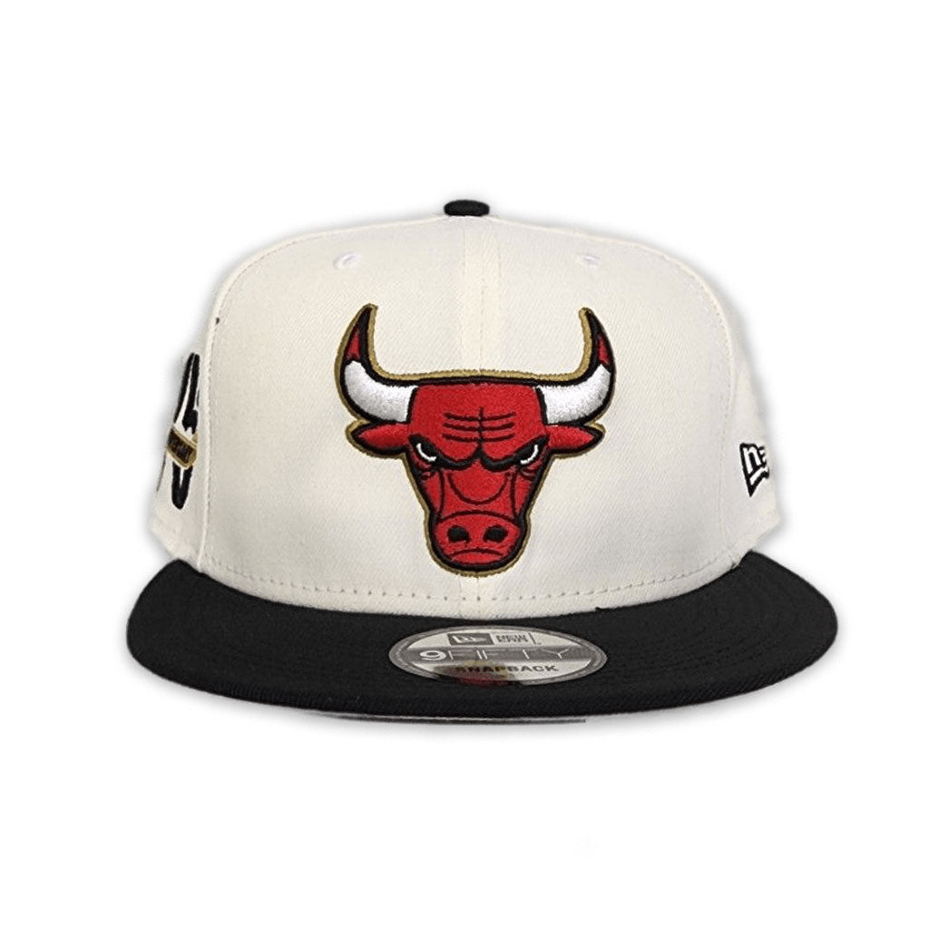 Buy 2022 Chicago Bulls 75th online