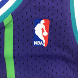 Purple Larry Johnson #2 Charlotte Hornets Mitchell & Ness Mesh NBA Jersey