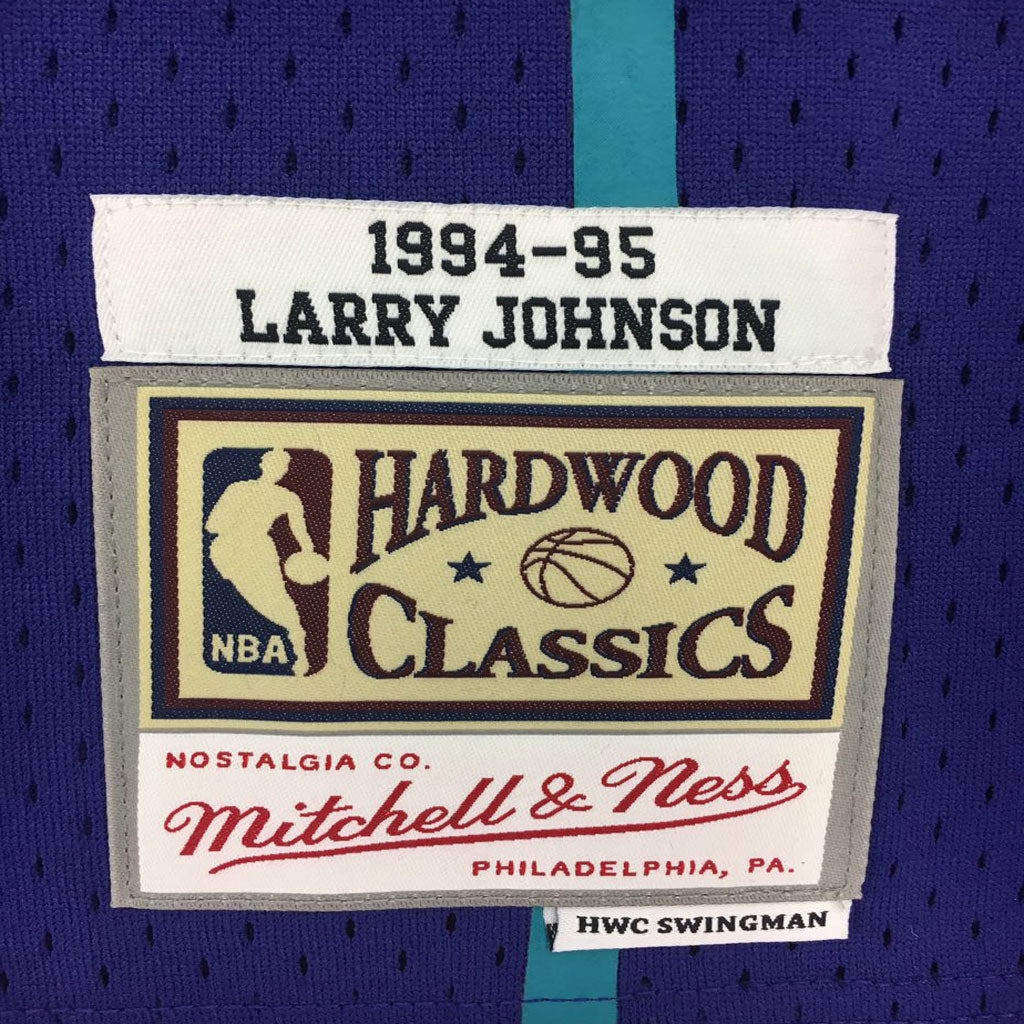 Vintage 90s Champion Charlotte Hornets Larry Johnson 2 Purple 