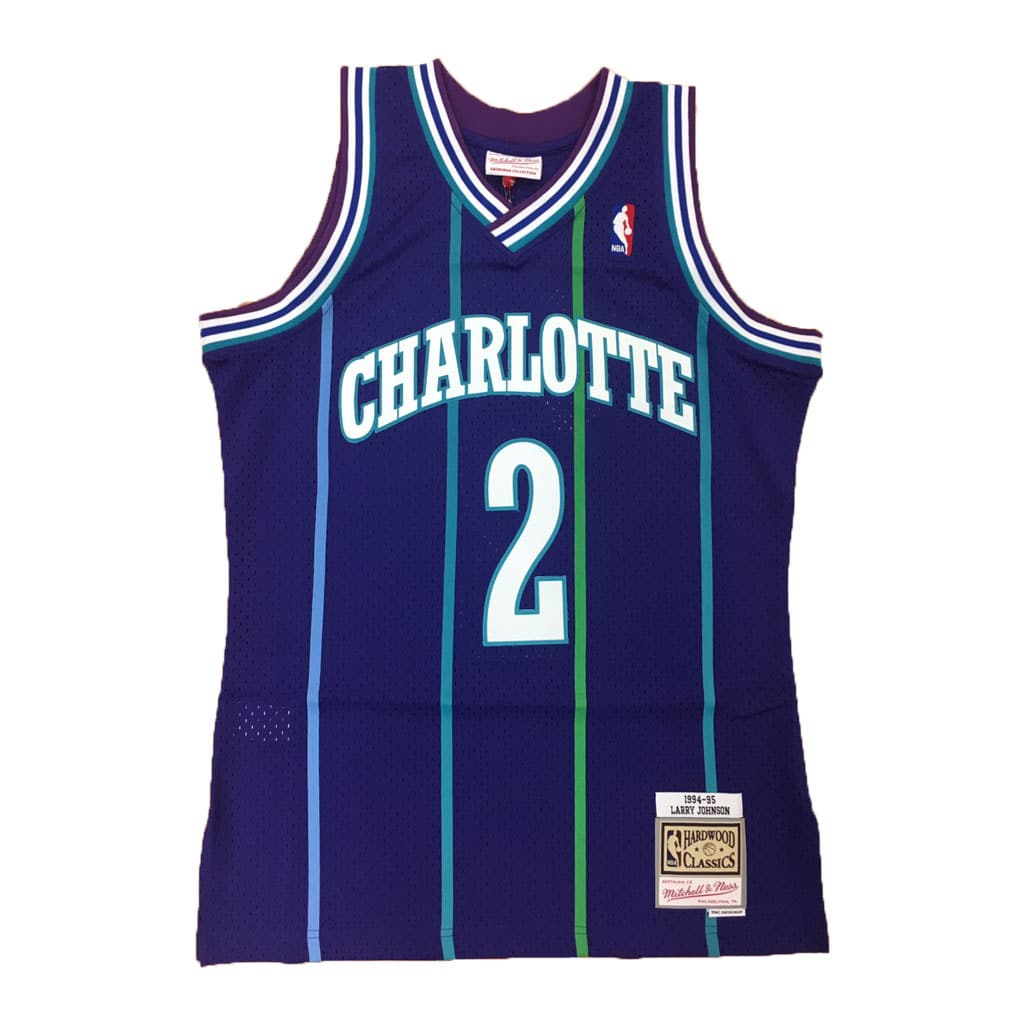 charlotte hornets gear Purple Larry Johnson #2 Charlotte Hornets Mitchell... XL
