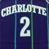 Purple Larry Johnson #2 Charlotte Hornets Mitchell & Ness Mesh NBA Jersey