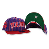 Purple Toronto Raptors Pinstripe Green Bottom New Era 9Fifty Snapback