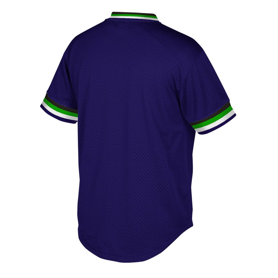 Tampa Bay Rays Mitchell & Ness Mesh V-Neck Purple – Exclusive