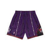 Toronto Raptors 1998 - 99 Mitchell & Ness Purple Swingman Shorts