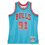 Chicago Bulls 1995-96 Dennis Rodman Mitchell & Ness Blue Pinstripe Swingman Jersey